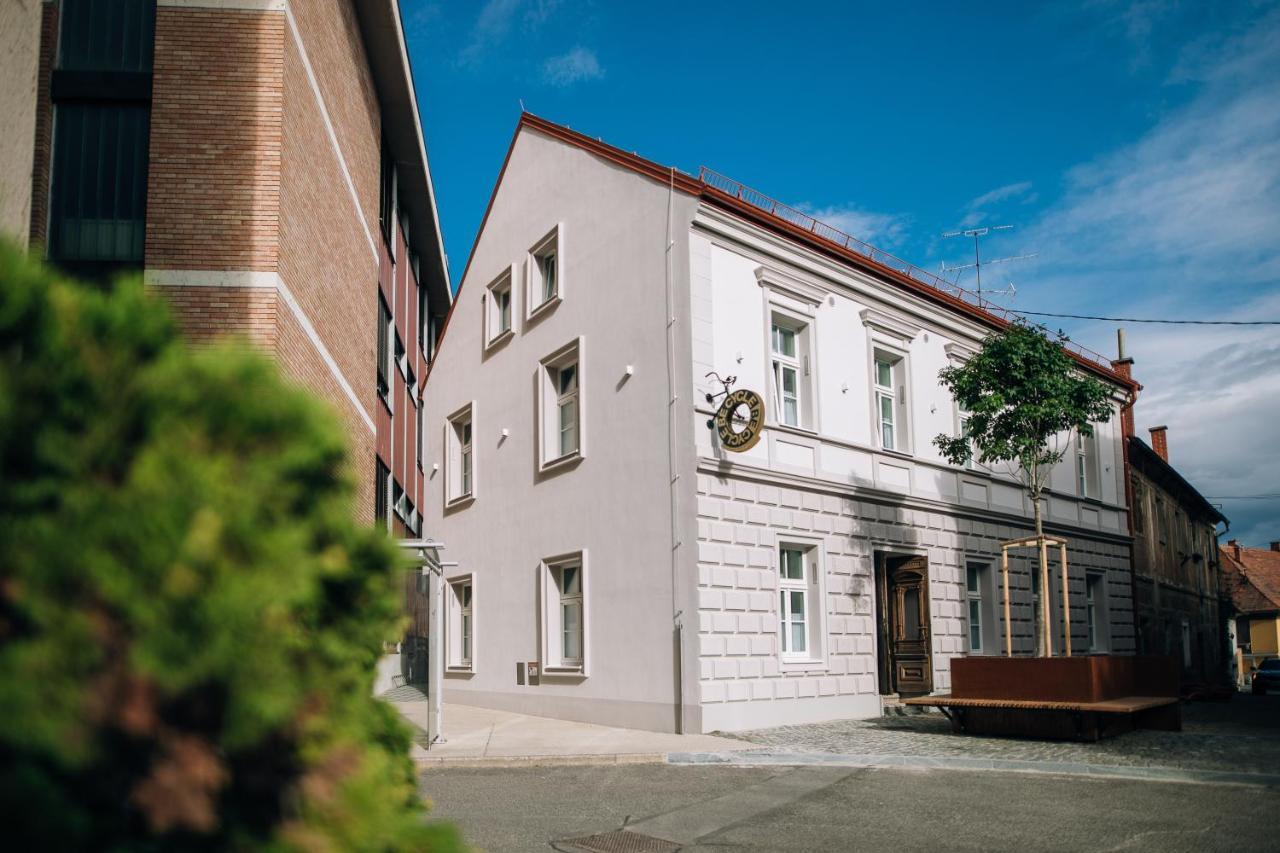 Becycle Sustainable Stay And Travel Maribor Ngoại thất bức ảnh